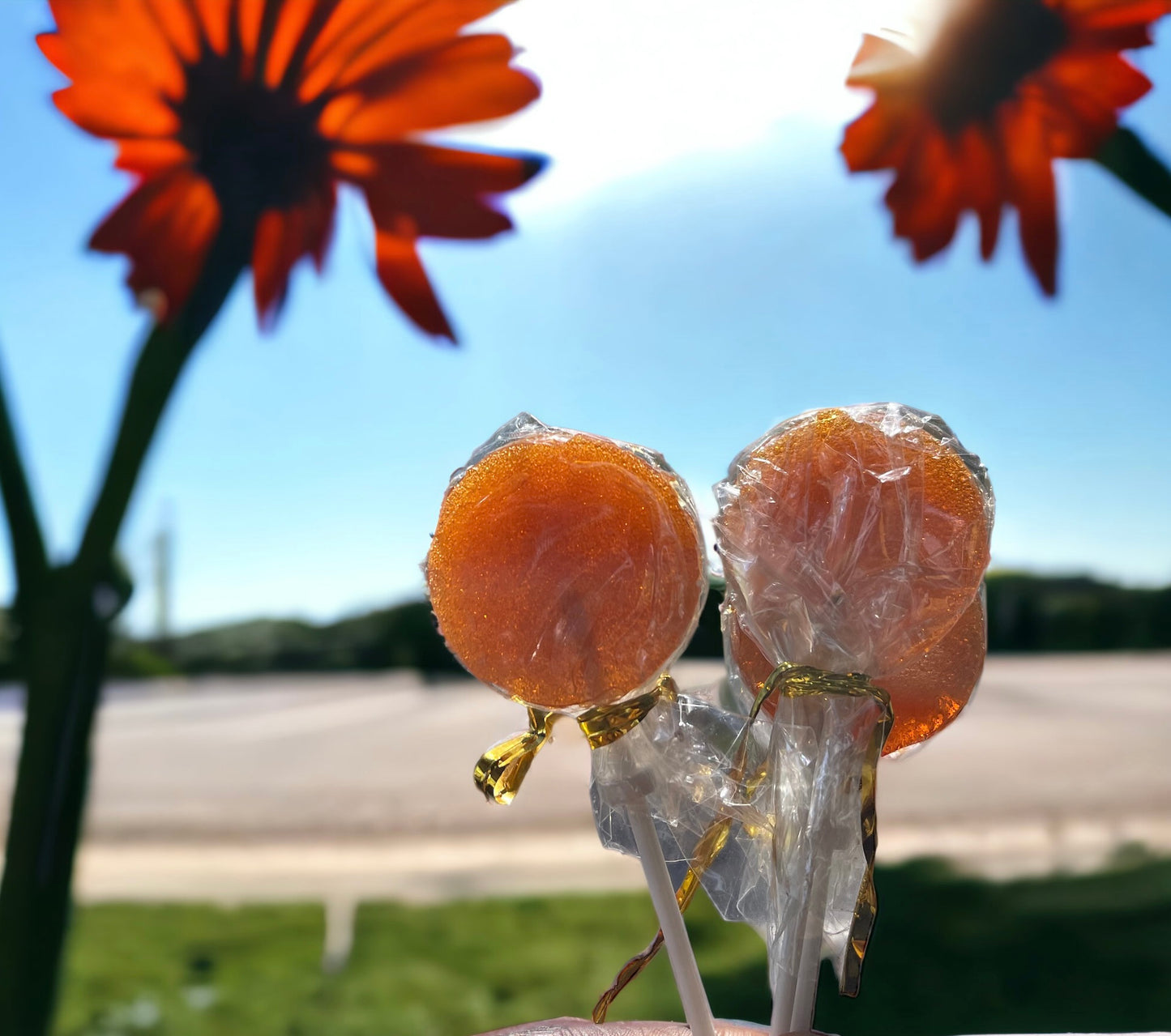 Honey Pops image 1