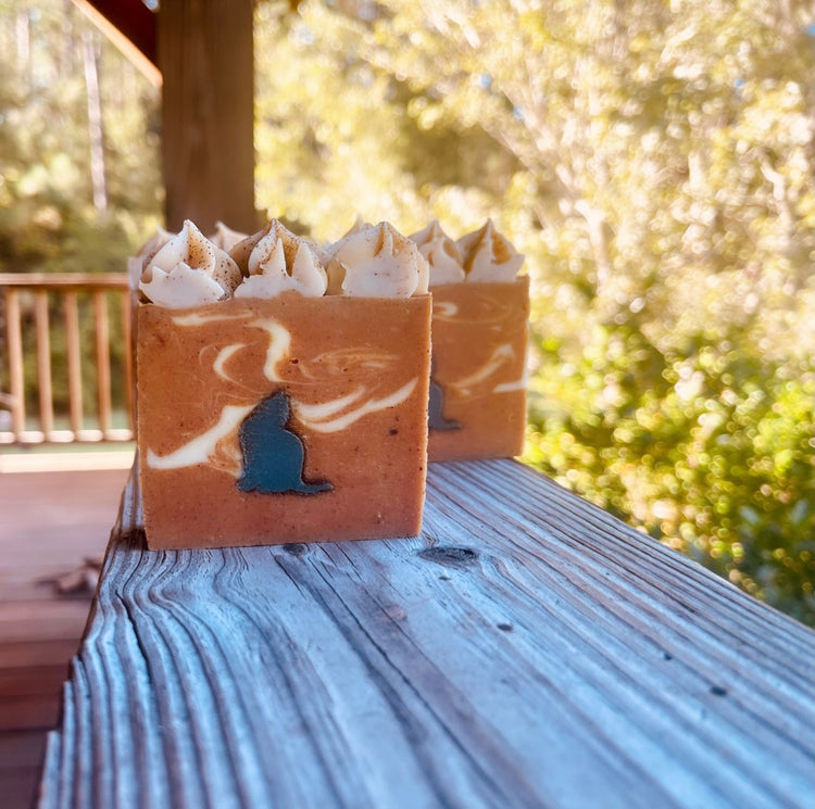 🍂 Fall Favorites
